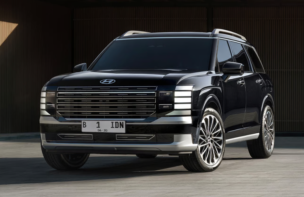 new palisade display